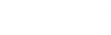 VSJ AI Labs